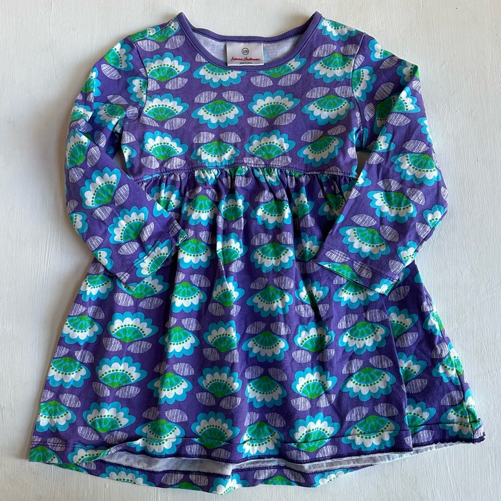 Hanna Andersson Purple Blue Floral Long Sleeve Dress